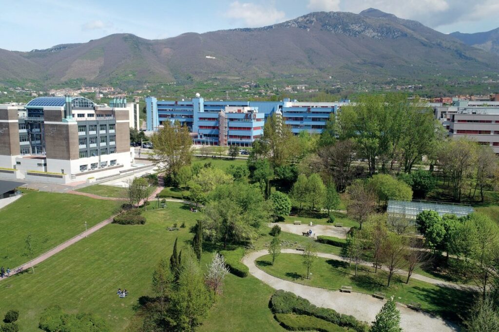 Crisi, leadership e possibilità nell’Università che cambia Crisi, leadership e possibilità nell’Università che cambia