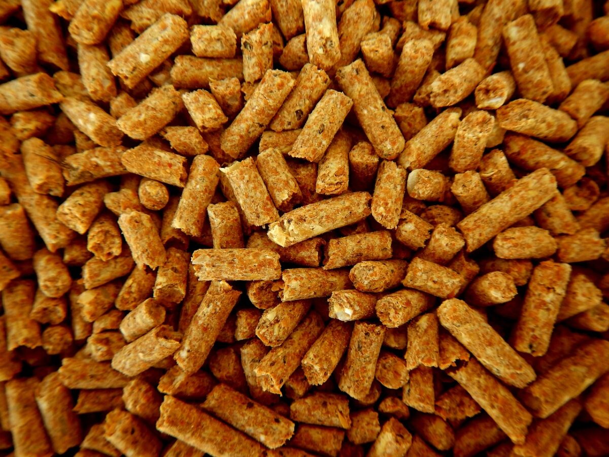Prezzi del pellet 2025: stabilità, risparmi e slancio alle biomasse Prezzi del pellet 2025: stabilità, risparmi e slancio alle biomasse