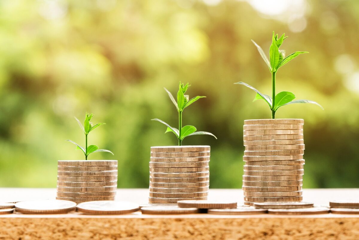 L’usato diventa una scelta strategica: così l’economia circolare entra nella vita degli italiani L’usato diventa una scelta strategica: così l’economia circolare entra nella vita degli italiani