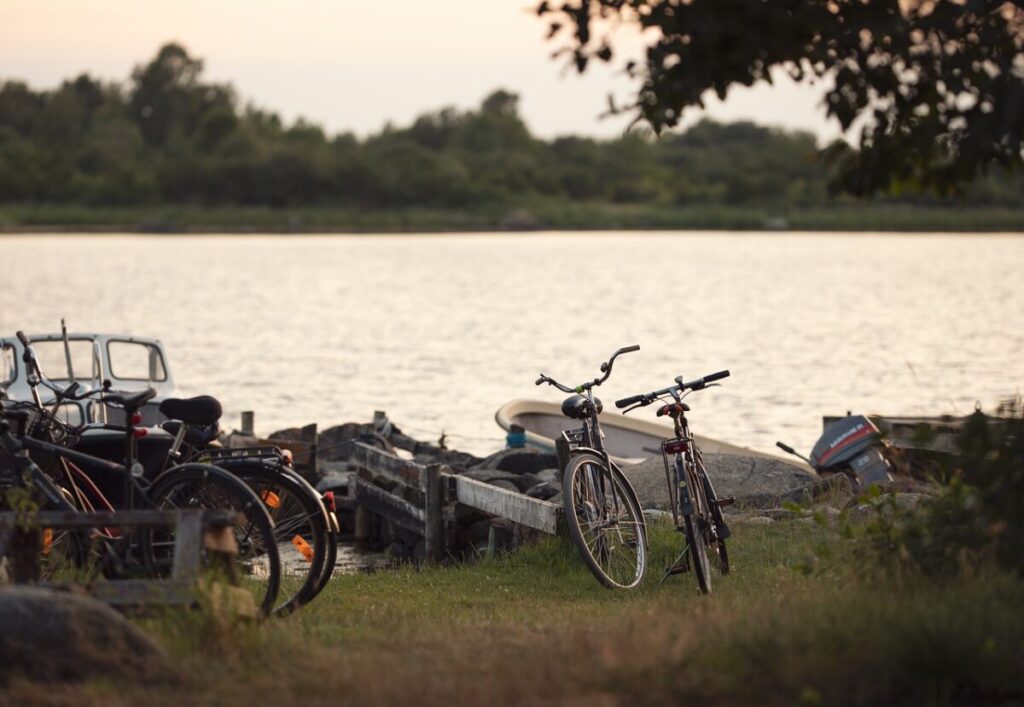 Maxi multa ad AliExpress per bici illegali