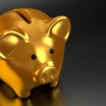 Truffe bancarie e conti svuotati: quando la banca deve restituire i soldi